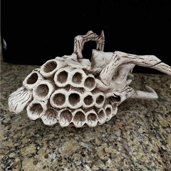 Predator skull Yautja Trophy from Alien vs. Predator and Predator movies Resin - Picture 10 of 10